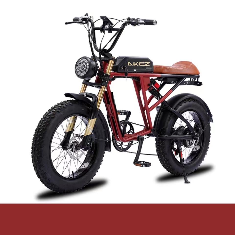 Akez S1 20 inch Fat Tire e-bike