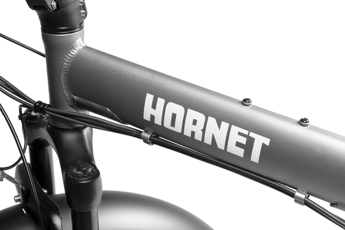 Sunrise Hornet