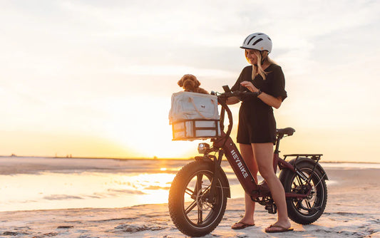 Heybike ranger S